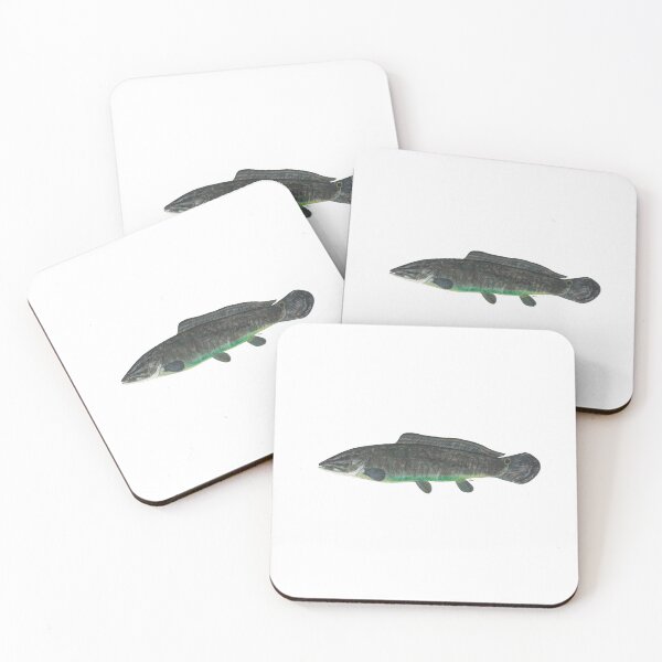 Item preview, Bowfin (Amia calva) designed and sold by LeakyCanoeArt.