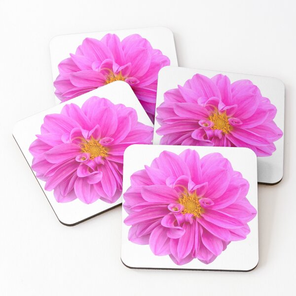 Item preview, Pink Dahlia Flower Still Life Floral Photography designed and sold by CottoVerdi.
