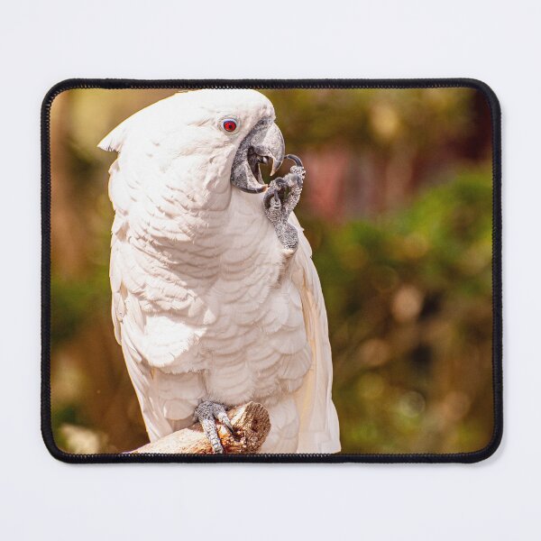 Item preview, Got an Itch designed and sold by Ruth Curtis.
