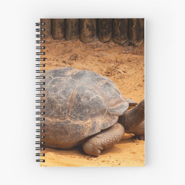 Item preview, Large Turtle strolling along designed and sold by Ruth Curtis.
