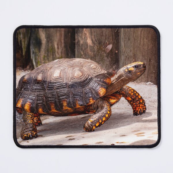 Item preview, Prancing Along designed and sold by Ruth Curtis.
