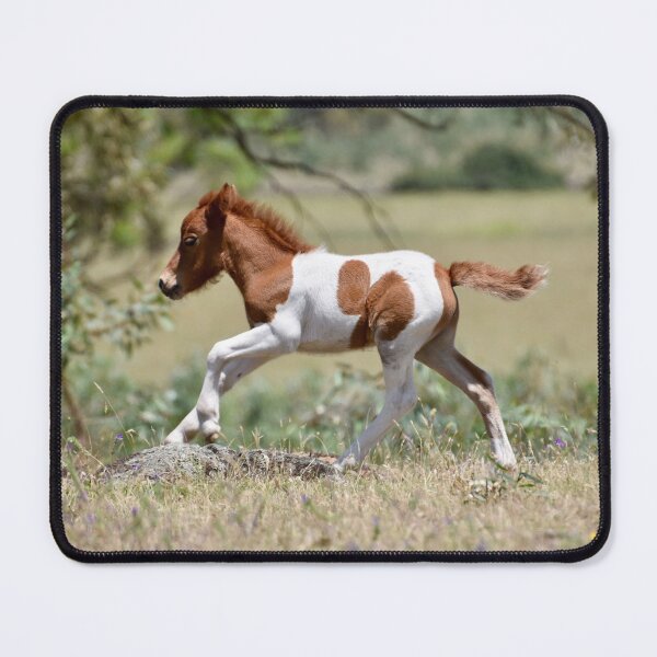 Item preview, Little Foal Running Fast designed and sold by Vicki Johnson.