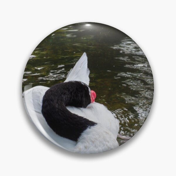Item preview, Rippling swim designed and sold by Ruth Curtis.