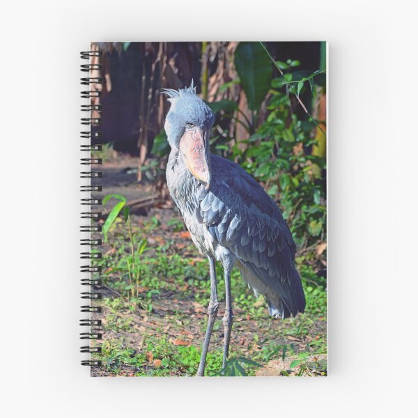 Item preview, Shoebill  designed and sold by Savannah Gibbs.