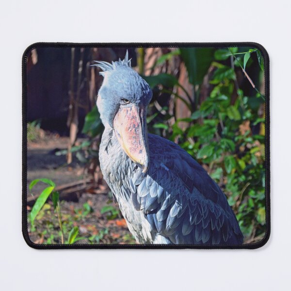 Item preview, Shoebill  designed and sold by Savannah Gibbs.