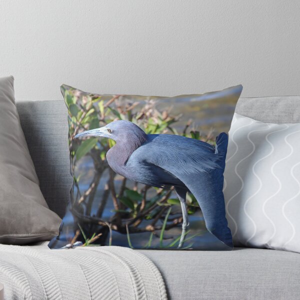 Artikelvorschau, Little Blue Heron Sonnenbaden entworfen und verkauft von Michiale.