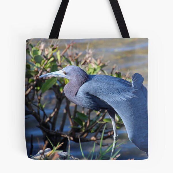 Artikelvorschau, Little Blue Heron Sonnenbaden entworfen und verkauft von Michiale.