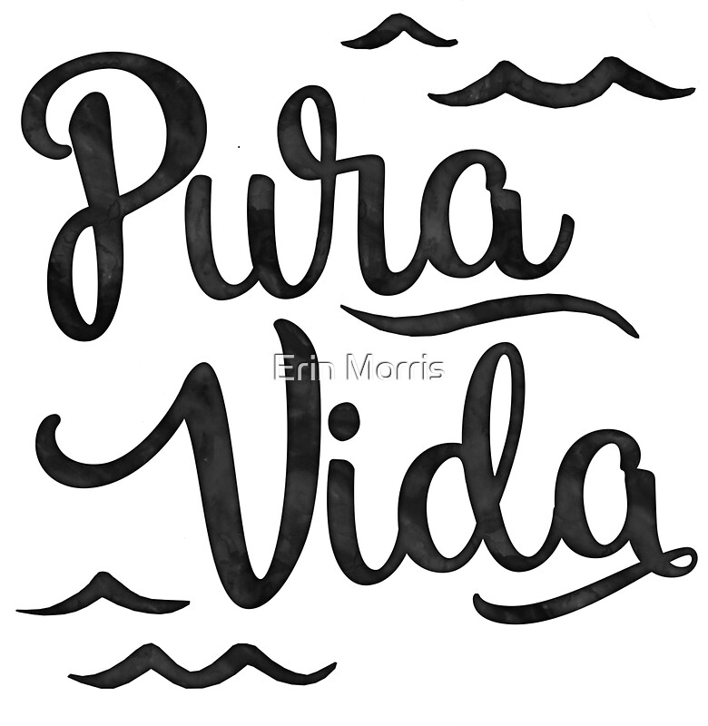 "Pura Vida Waves in Black" Stickers by Erin Morris | Redbubble