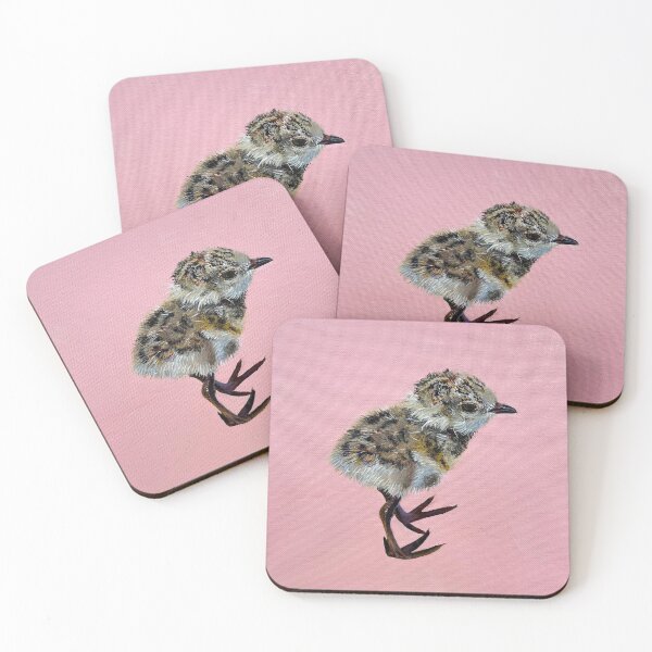 TAKE A WALK ON THE WILD SIDE Coasters (Set of 4)