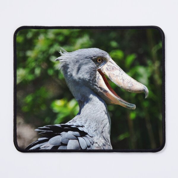 Item preview, Shoebill designed and sold by Savannah Gibbs.