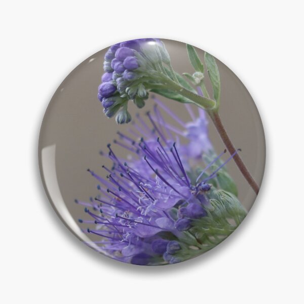Item preview, Pretty Autumn Blooms designed and sold by LisaNaturePhoto.