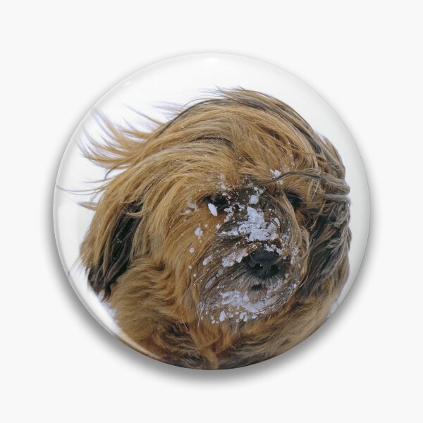 Item preview, Cold Dog designed and sold by Oliveirallan.