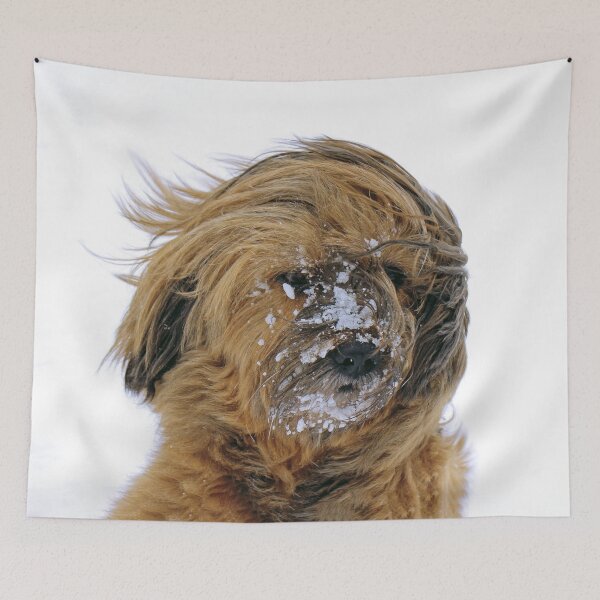 Item preview, Cold Dog designed and sold by Oliveirallan.