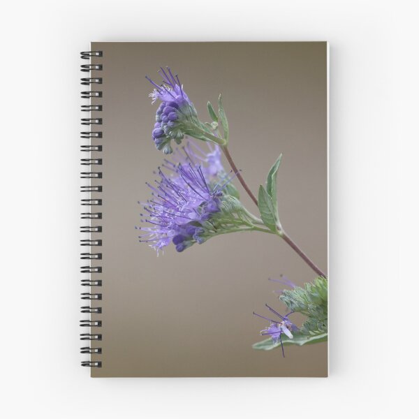 Item preview, Pretty Autumn Blooms designed and sold by LisaNaturePhoto.