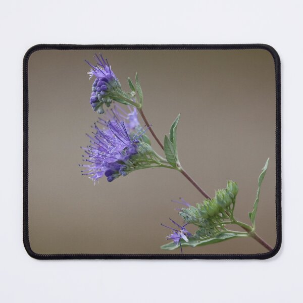 Item preview, Pretty Autumn Blooms designed and sold by LisaNaturePhoto.