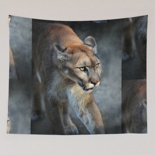 Item preview, Intense Cougar designed and sold by Savannah Gibbs.