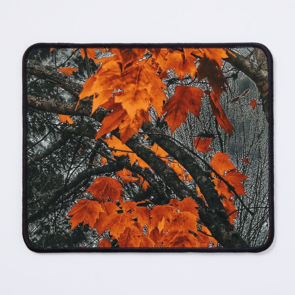 Item preview, Highly Seasoned designed and sold by Steve Walser.