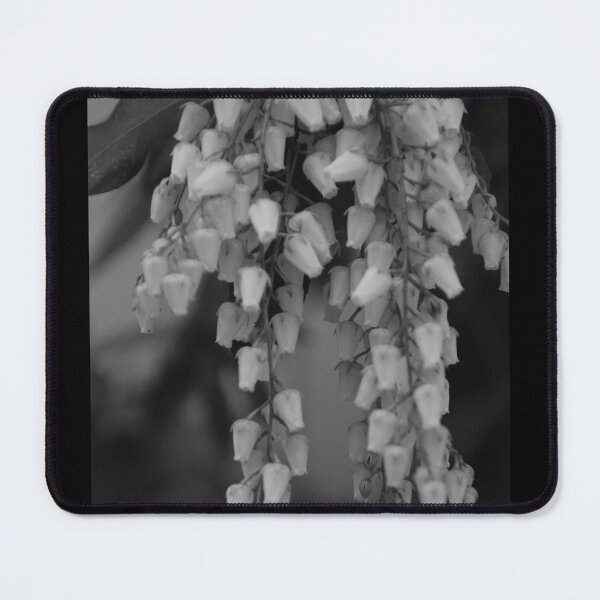Item preview, Pieris designed and sold by Deborah Singer.