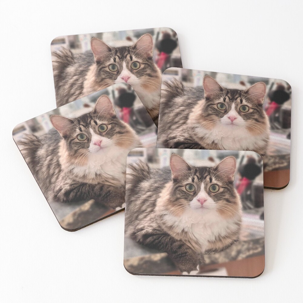 Item preview, Coasters (Set of 4) designed and sold by LorieKGraphics.