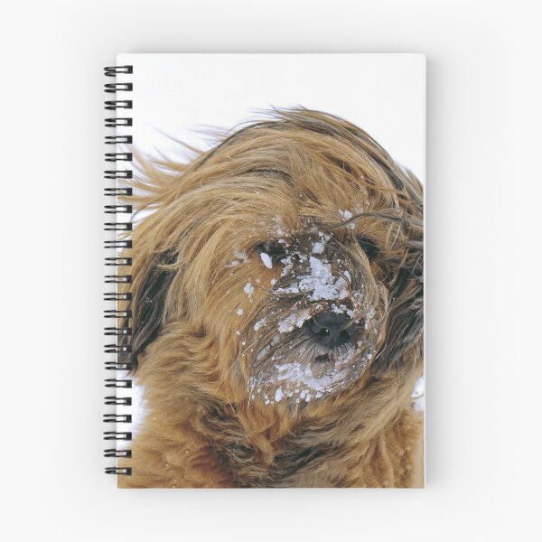 Item preview, Cold Dog designed and sold by Oliveirallan.