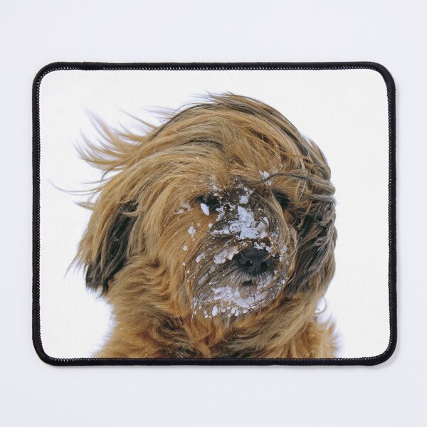 Item preview, Cold Dog designed and sold by Oliveirallan.