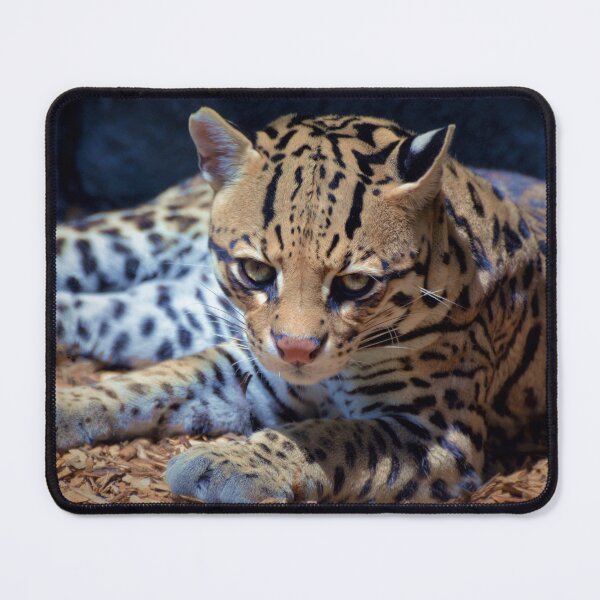 Item preview, Ocelot designed and sold by Savannah Gibbs.