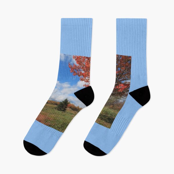 Item preview, Burning fall maple tree against blue sky and white clouds. designed and sold by naturematters.