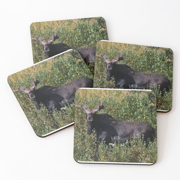 Item preview, Moose designed and sold by Kim Pruim.