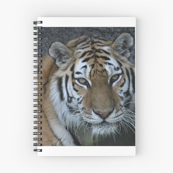 Item preview, Tiger Portrait designed and sold by Kim Pruim.