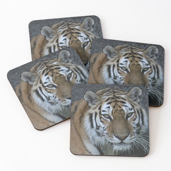 Item preview, Tiger Portrait designed and sold by Kim Pruim.