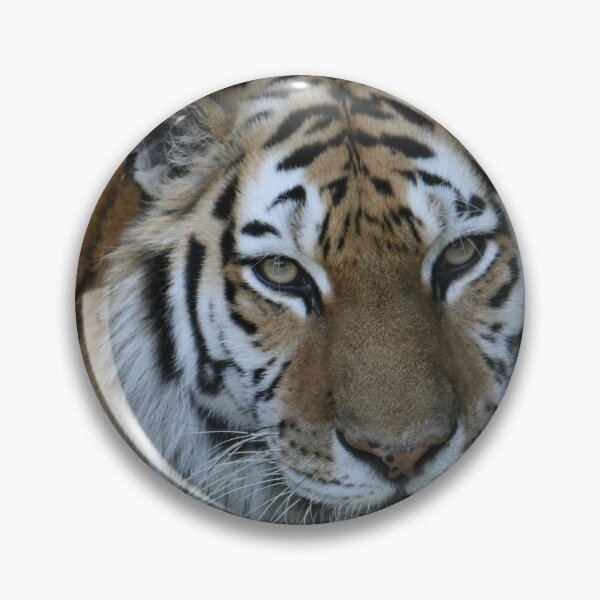 Item preview, Tiger Portrait designed and sold by Kim Pruim.