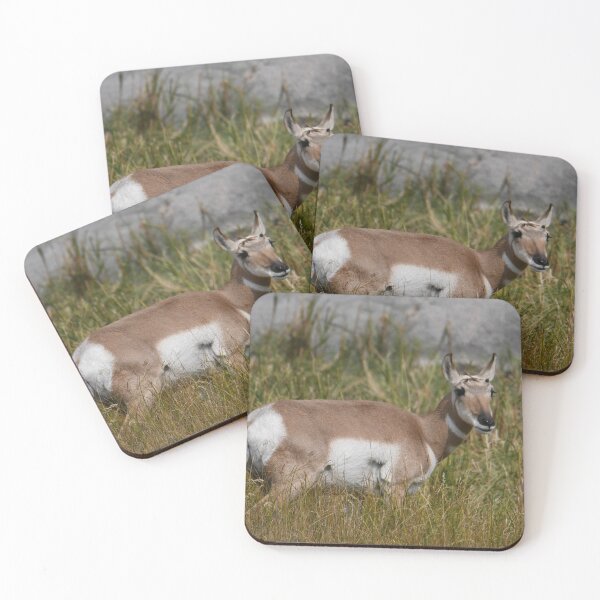 Item preview, Pronghorn designed and sold by Kim Pruim.