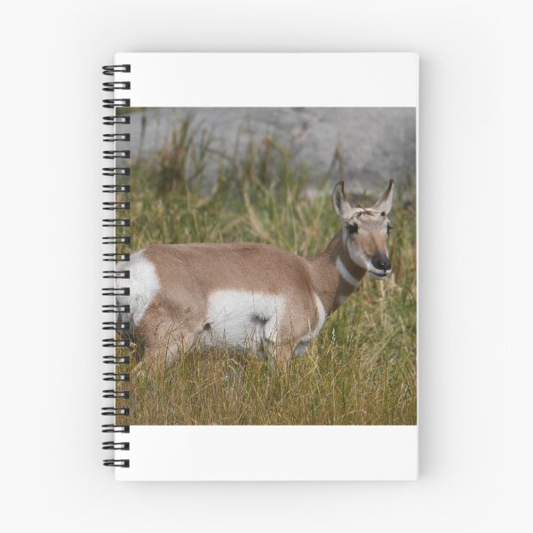 Item preview, Pronghorn designed and sold by Kim Pruim.