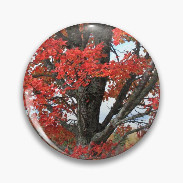 Item preview, Red fall maple tree burning leaves and tree trunk designed and sold by naturematters.