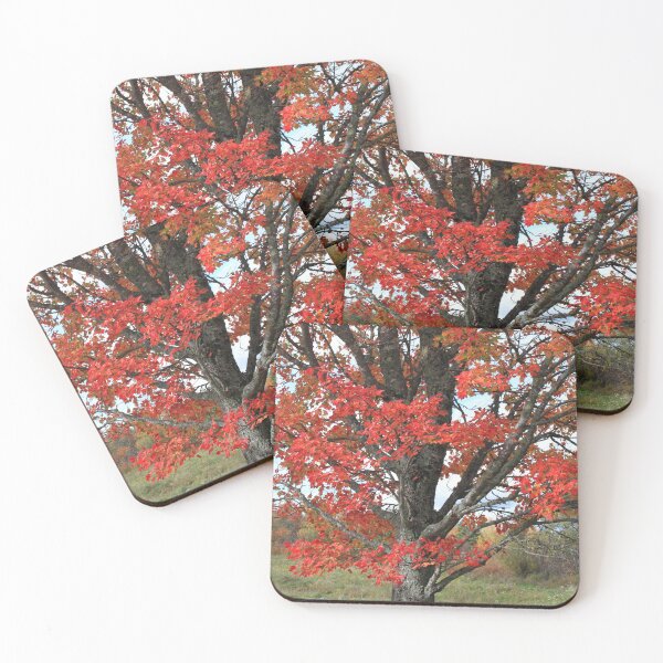 Item preview, Red fall maple tree burning leaves and tree trunk designed and sold by naturematters.