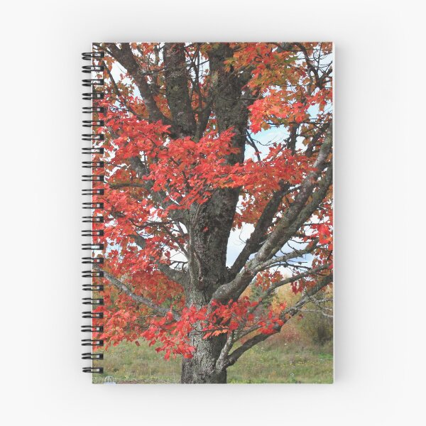 Item preview, Red fall maple tree burning leaves and tree trunk designed and sold by naturematters.