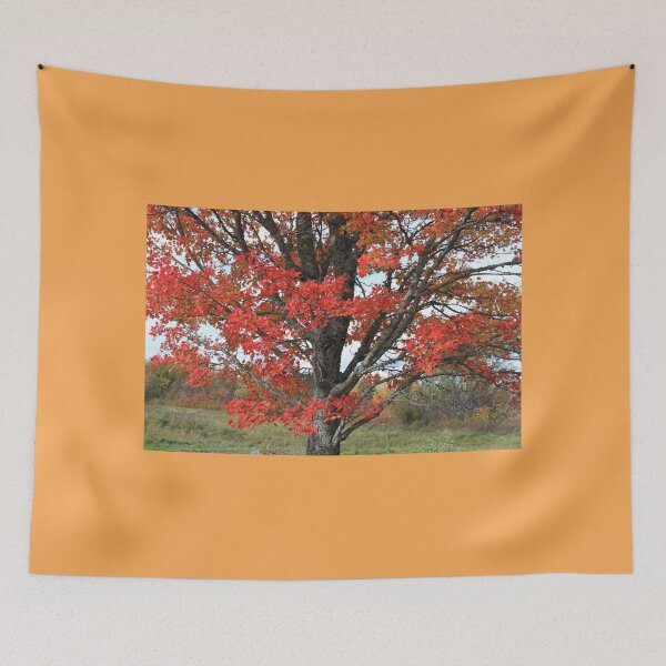 Item preview, Red fall maple tree burning leaves and tree trunk designed and sold by naturematters.