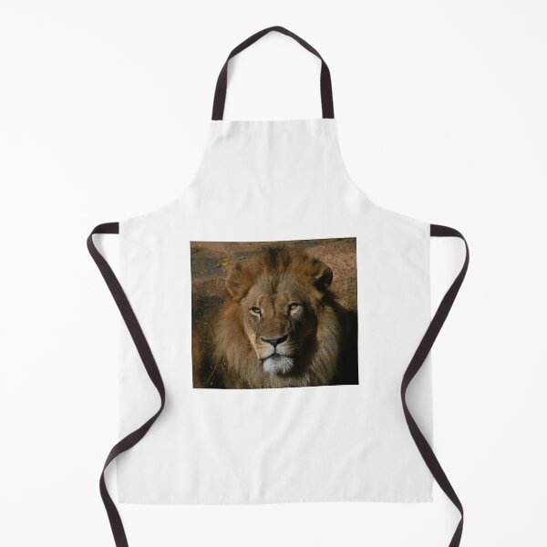 Item preview, African Lion Golden Hour designed and sold by Kim Pruim.