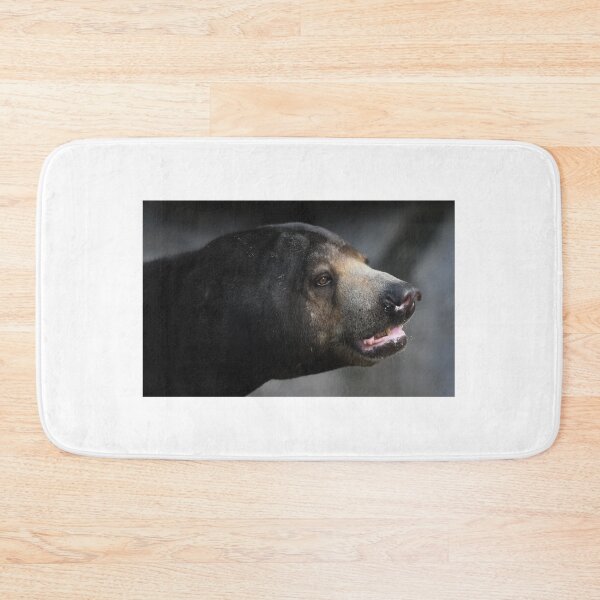 Item preview, Sun Bear Portrait designed and sold by Kim Pruim.