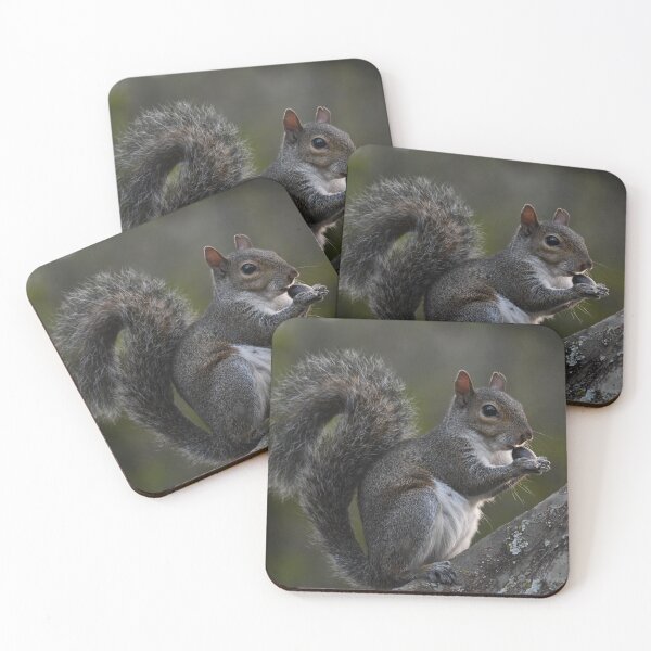 Item preview, Squirrel Munchies designed and sold by Kim Pruim.
