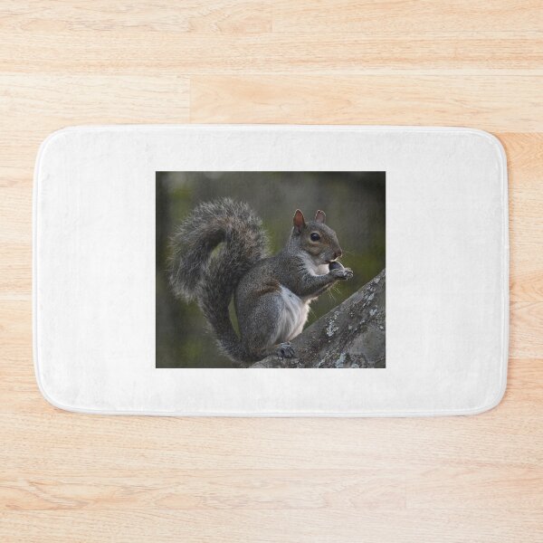 Item preview, Squirrel Munchies designed and sold by Kim Pruim.