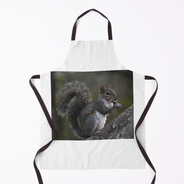 Item preview, Squirrel Munchies designed and sold by Kim Pruim.