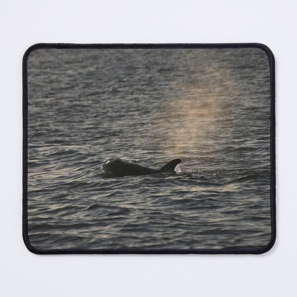 Item preview, A Breath Of Fresh Air designed and sold by Kim Pruim.