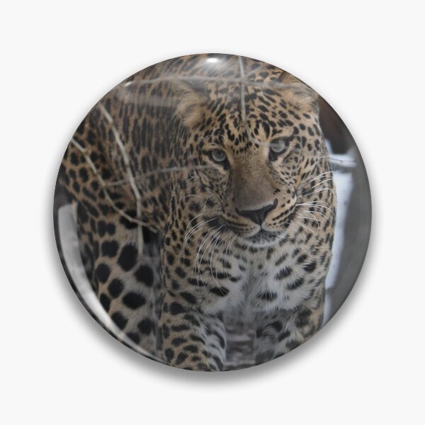 Item preview, Leopard Portrait designed and sold by Kim Pruim.