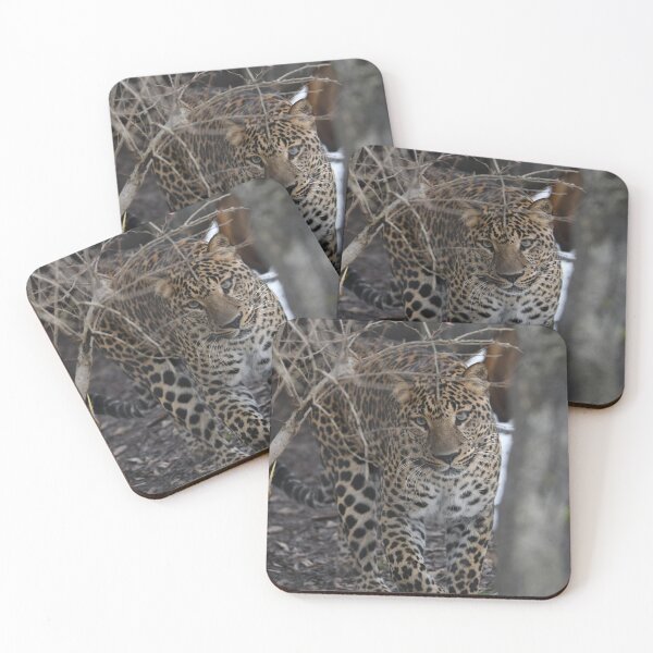 Item preview, Leopard Portrait designed and sold by Kim Pruim.