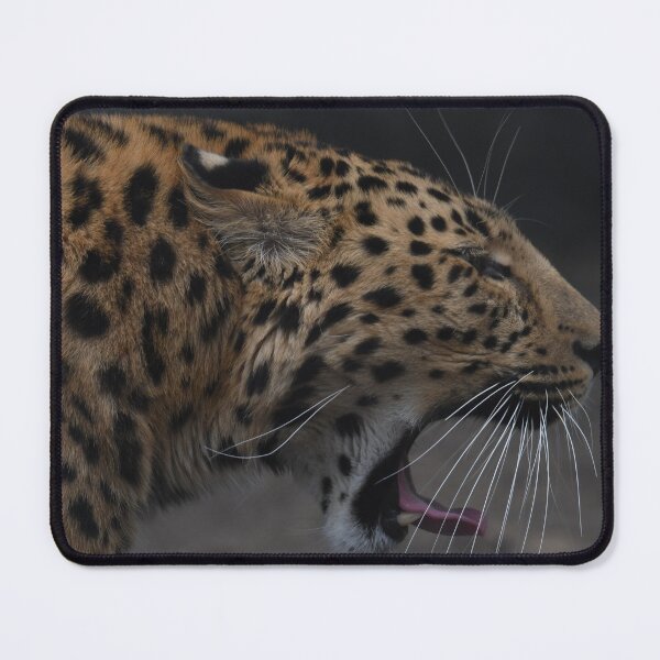 Item preview, Leopard Yawn designed and sold by Kim Pruim.