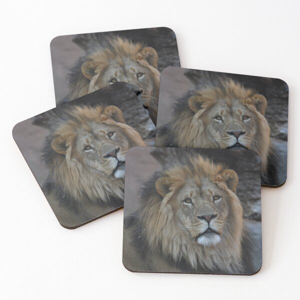 Item preview, Lion Portrait designed and sold by Kim Pruim.