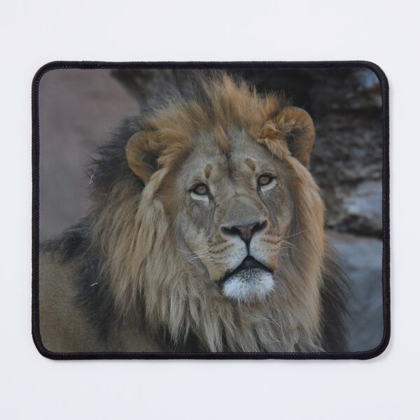 Item preview, Lion Portrait designed and sold by Kim Pruim.