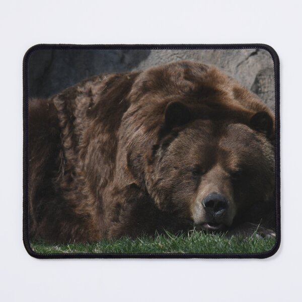 Item preview, Taking It Easy designed and sold by Kim Pruim.