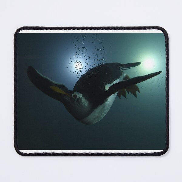 Item preview, Penguin Underwater designed and sold by Kim Pruim.